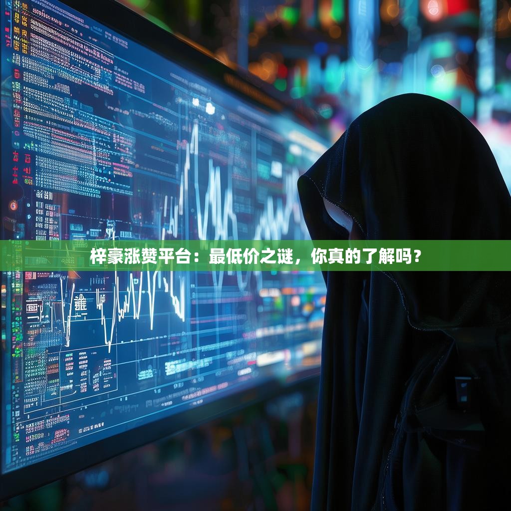 梓豪涨赞平台：最低价之谜，你真的了解吗？