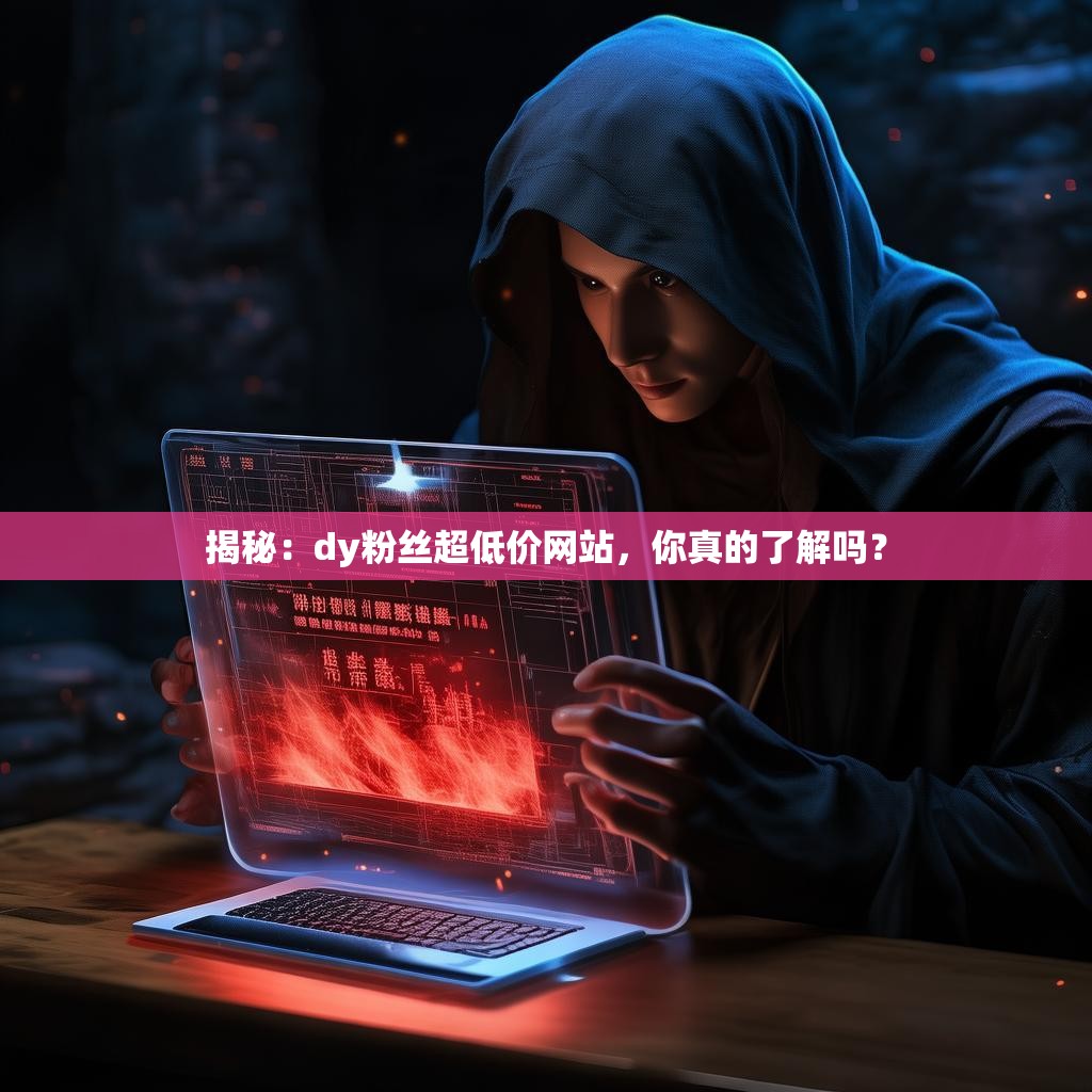 揭秘：dy粉丝超低价网站，你真的了解吗？