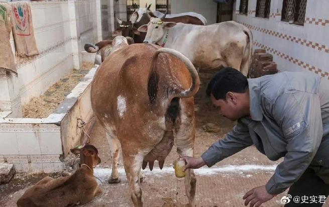印度疫情期间死亡多少人_印度疫情死者_