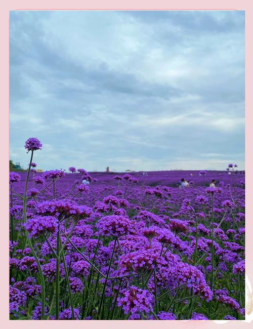 石门县新冠肺炎疫情__石门疫情最新消息封路