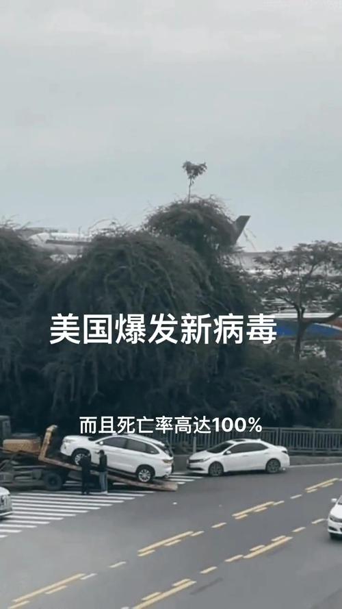 美国疫情分布情况_分布疫情动态美国图片_