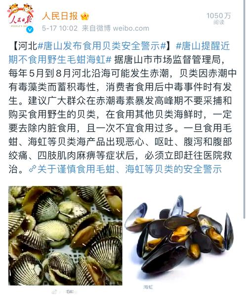 合肥海鲜市场新冠病毒__合肥海鲜市场今日价格