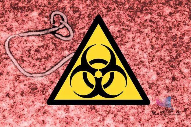 美国确诊215344__美国确诊案例